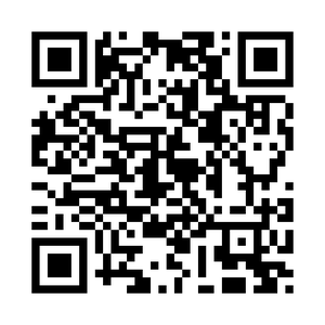 adamlewkovitz.com QR code